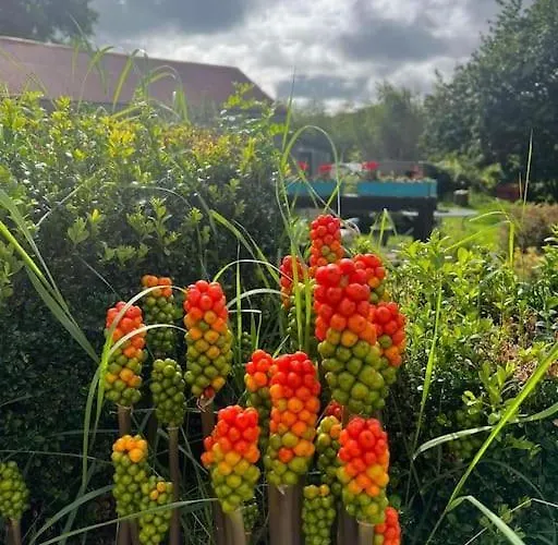 Mill View At Pheasant Lane *